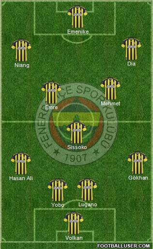 Fenerbahçe SK Formation 2011