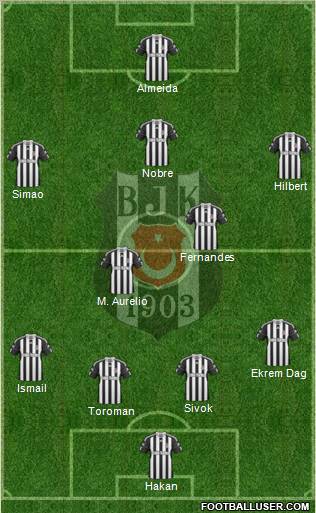 Besiktas JK Formation 2011