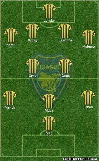 Bucaspor Formation 2011