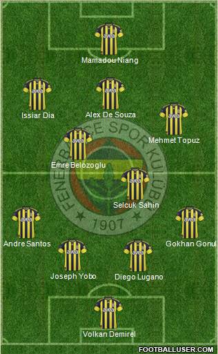Fenerbahçe SK Formation 2011