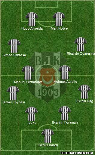Besiktas JK Formation 2011