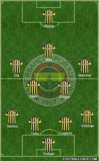 Fenerbahçe SK Formation 2011