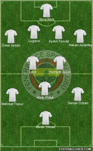 Fenerbahçe SK Formation 2011