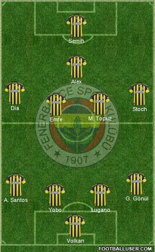 Fenerbahçe SK Formation 2011