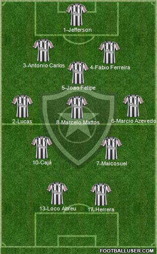 Botafogo FR Formation 2011