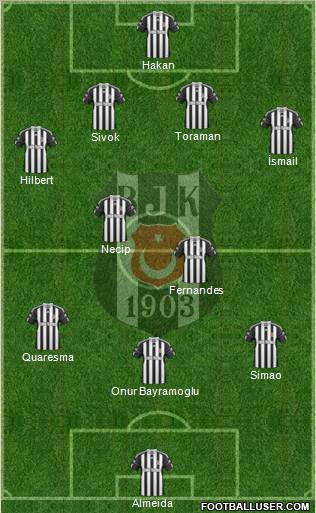 Besiktas JK Formation 2011