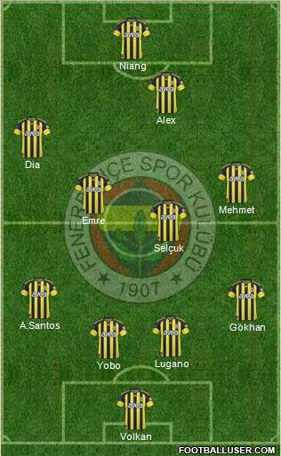 Fenerbahçe SK Formation 2011