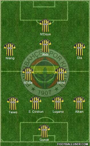 Fenerbahçe SK Formation 2011