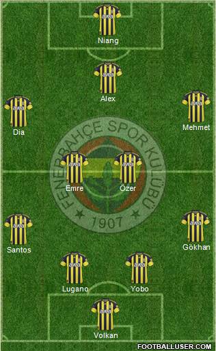Fenerbahçe SK Formation 2011