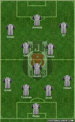Besiktas JK Formation 2011
