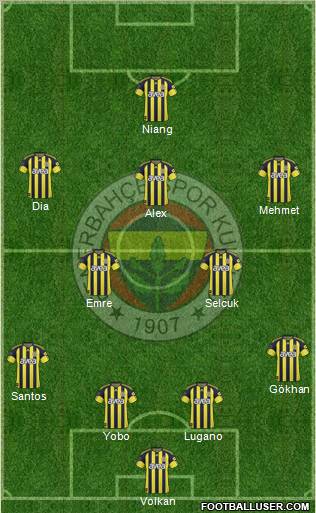 Fenerbahçe SK Formation 2011