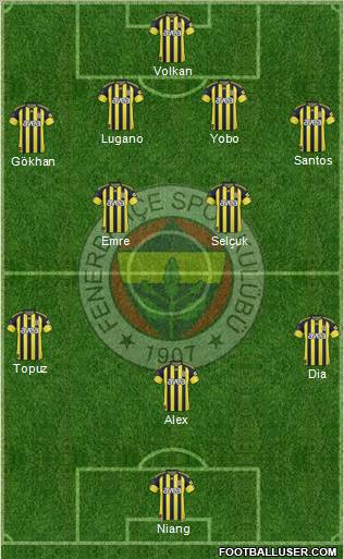 Fenerbahçe SK Formation 2011