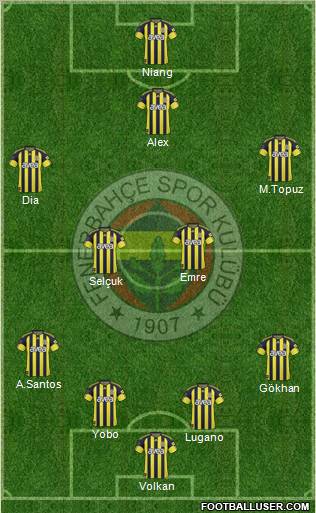 Fenerbahçe SK Formation 2011