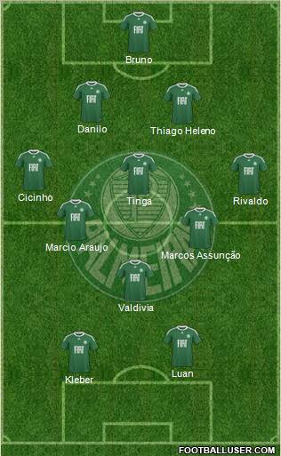 SE Palmeiras Formation 2011