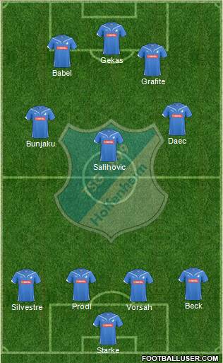 TSG 1899 Hoffenheim Formation 2011