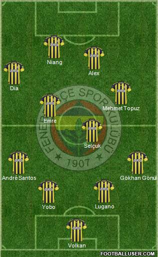 Fenerbahçe SK Formation 2011