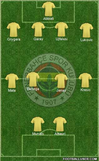 Fenerbahçe SK Formation 2011