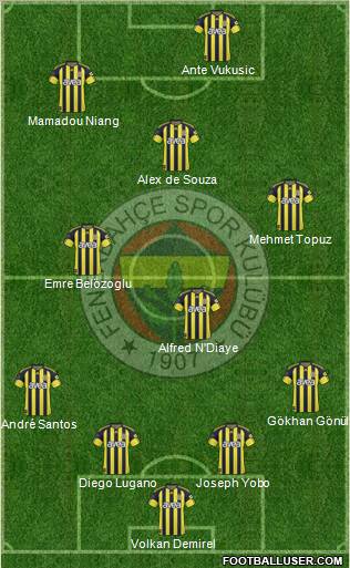 Fenerbahçe SK Formation 2011