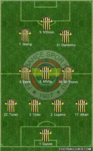 Fenerbahçe SK Formation 2011