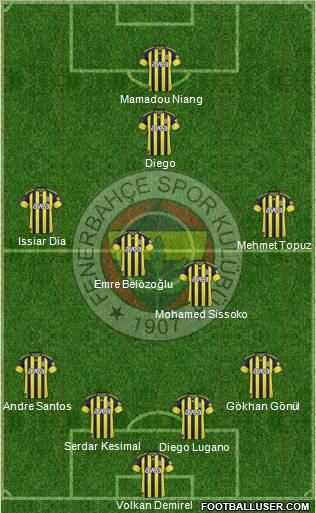 Fenerbahçe SK Formation 2011