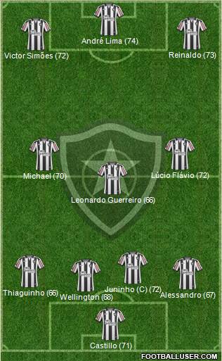 Botafogo FR Formation 2011