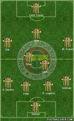 Fenerbahçe SK Formation 2011