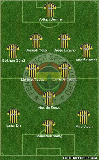 Fenerbahçe SK Formation 2011