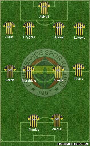 Fenerbahçe SK Formation 2011