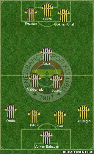 Fenerbahçe SK Formation 2011