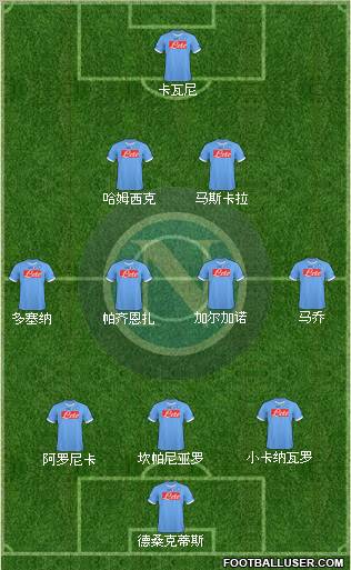 Napoli Formation 2011