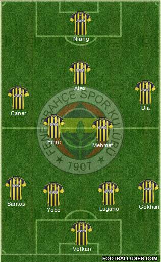 Fenerbahçe SK Formation 2011