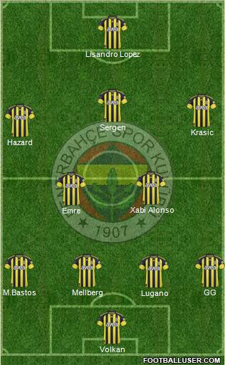 Fenerbahçe SK Formation 2011