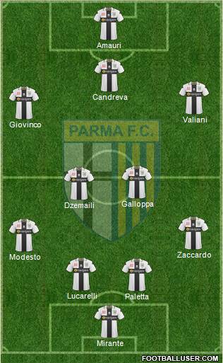 Parma Formation 2011