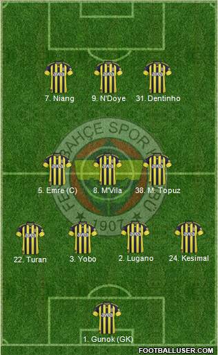 Fenerbahçe SK Formation 2011