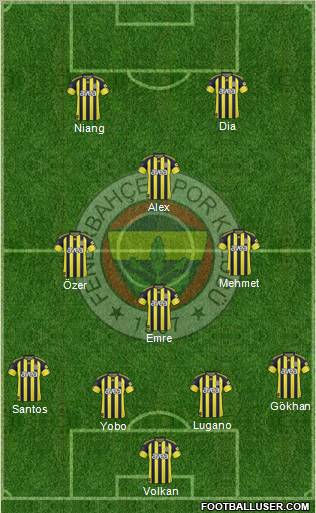 Fenerbahçe SK Formation 2011