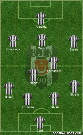 Besiktas JK Formation 2011