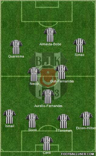 Besiktas JK Formation 2011