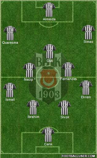 Besiktas JK Formation 2011