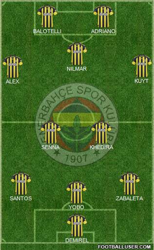 Fenerbahçe SK Formation 2011