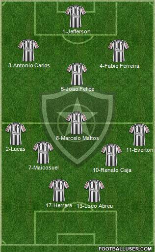 Botafogo FR Formation 2011