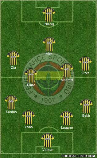 Fenerbahçe SK Formation 2011