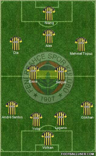 Fenerbahçe SK Formation 2011