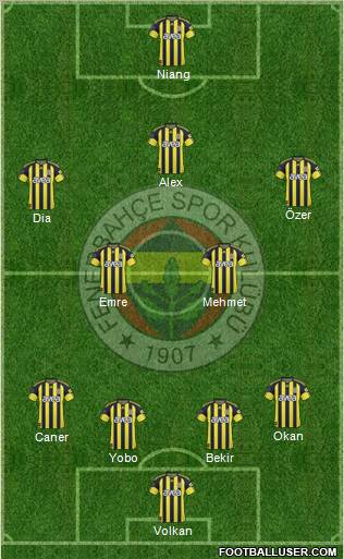 Fenerbahçe SK Formation 2011