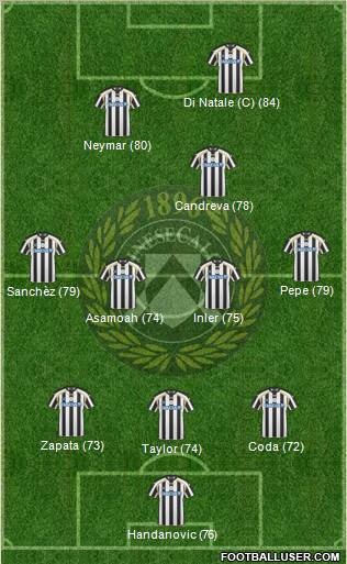 Udinese Formation 2011