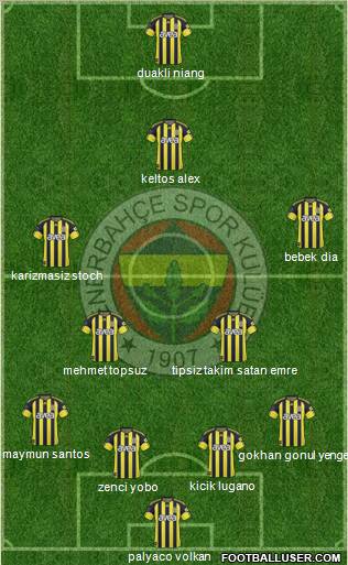 Fenerbahçe SK Formation 2011