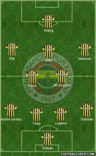 Fenerbahçe SK Formation 2011