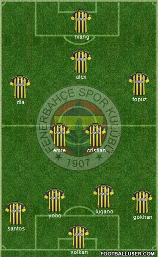Fenerbahçe SK Formation 2011
