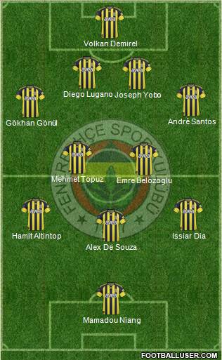 Fenerbahçe SK Formation 2011