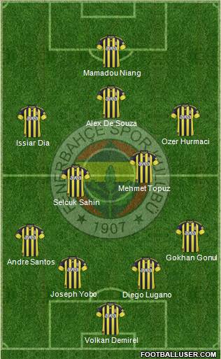 Fenerbahçe SK Formation 2011