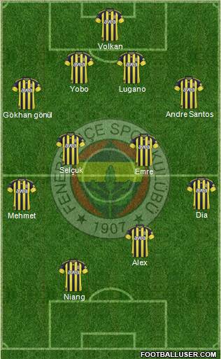 Fenerbahçe SK Formation 2011